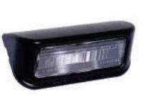 LANTERNA DE PLACA COM SOQUETE FIAT DOBLO FIORINO