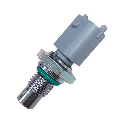 SENSOR DE TEMPERATURA ÁGUA RANGER TROLLER
